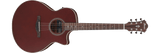 Ibanez AE100 Acoustic Guitar Burgundy Flat