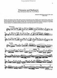 Orchestral Excerpts for Flute with Piano Accompaniment