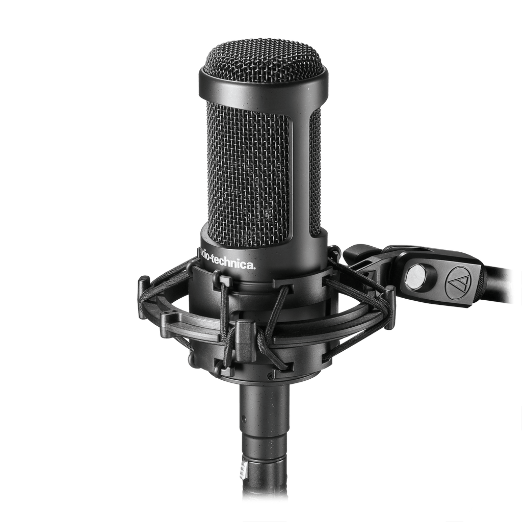 Audio-Technica AT2050 Multi-Pattern Condenser Microphone