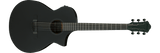 Ibanez AEWC621BOT Acoustic Guitar Black Out