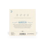 D'Addario 80/20 Bronze Light Mandolin Strings, 10-34
