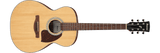 Ibanez PC50OPN Acoustic Guitar Open Pore Natural