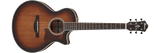 Ibanez AE240JRMHS 3/4 Scale Acoustic-Electric Guitar